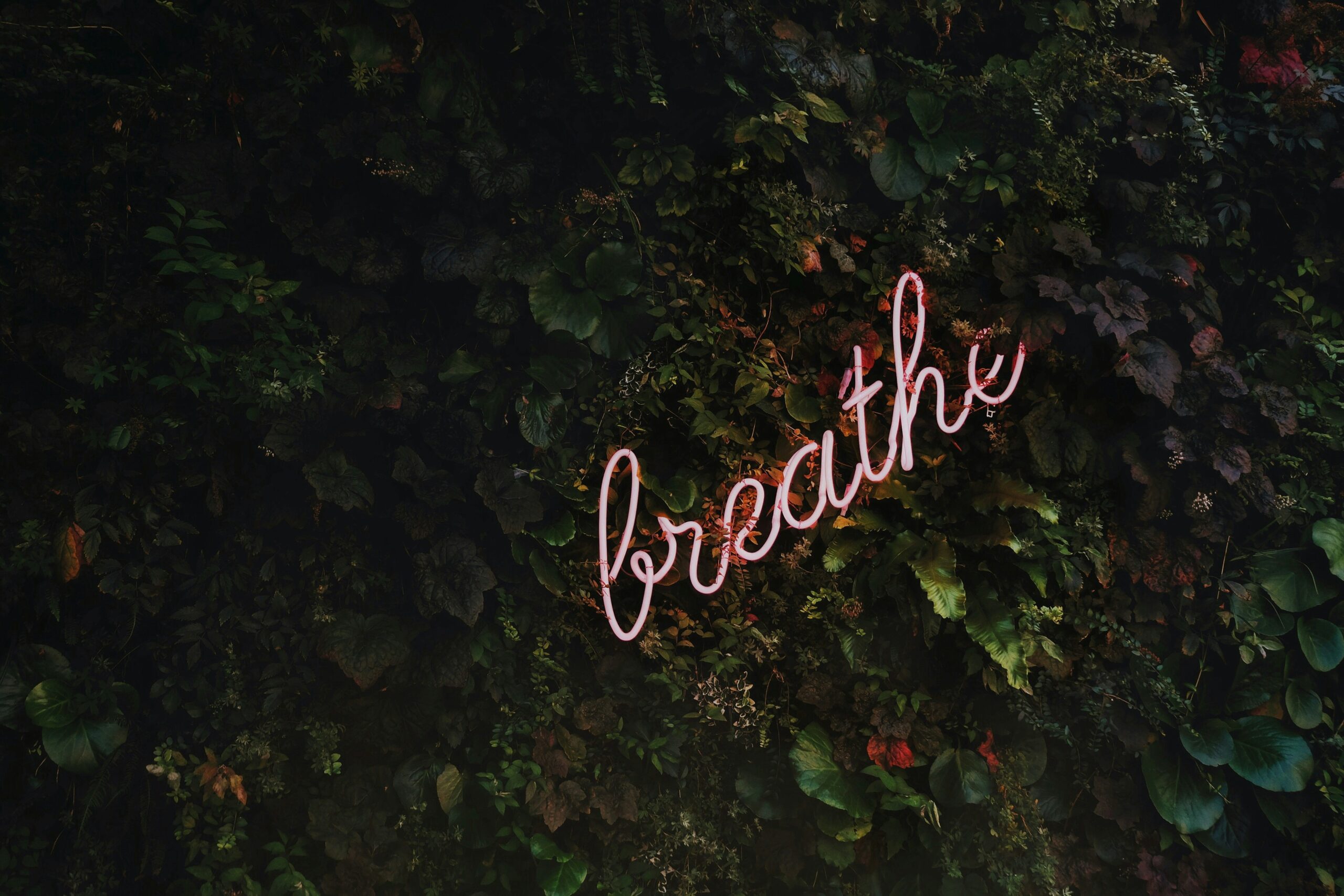 Why Running is Great for Stress Relief